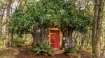 Mau Nyewa Rumah Winnie the Pooh?