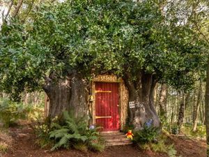 Rumah Pohon Winnie the Pooh Disewakan, Ada yang Kangen?