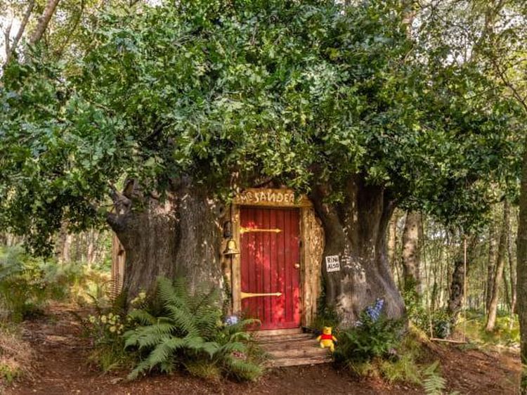 Mau Nyewa Rumah Winnie the Pooh?