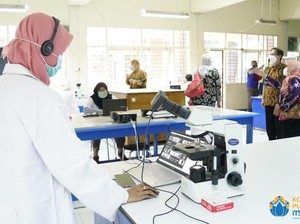 40 Cabang Ilmu Biologi yang Mempelajari Makhluk Hidup