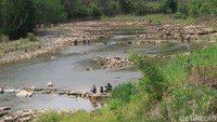 Salah satu pengunjung, Wira (30) mengaku sudah sering datang ke sungai Oya hutan Bunder bersama keluarganya saat akhir pekan. Menurutnya, dia mulai sering mengunjungi sungai tersebut saat pandemi COVID-19. (Pradito Rida Pertana/detikTravel)