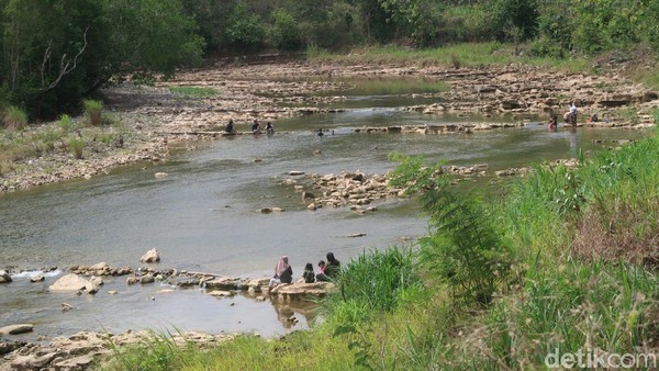 Salah satu pengunjung, Wira (30) mengaku sudah sering datang ke sungai Oya hutan Bunder bersama keluarganya saat akhir pekan. Menurutnya, dia mulai sering mengunjungi sungai tersebut saat pandemi COVID-19. (Pradito Rida Pertana/detikTravel) Salah satu pengunjung, Wira (30) mengaku sudah sering datang ke sungai Oya hutan Bunder bersama keluarganya saat akhir pekan. Menurutnya, dia mulai sering mengunjungi sungai tersebut saat pandemi COVID-19. (Pradito Rida Pertana/detikTravel)