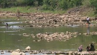 Tampak beberapa orang pengunjung tengah bersantai sembari menikmati makanan dan minuman dengan pemandangan sungai Oya yang cukup jernih. Di sekitar lokasi memang ada pedagang makanan dan minuman. (Pradito Rida Pertana/detikTravel)