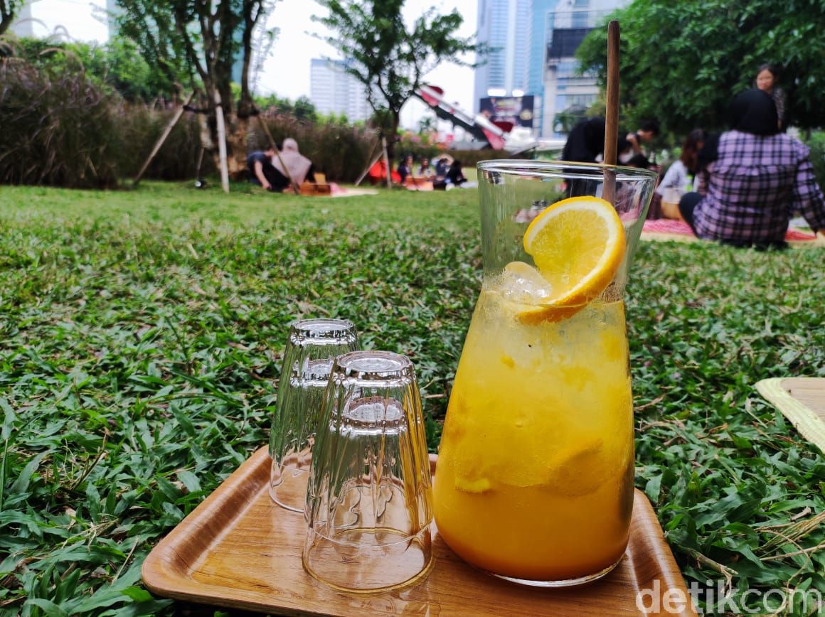 Taman Piknik : Asyiknya Makan Sambil Piknik di Bawah Pesawat Tempur