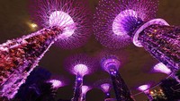 Kerlap-kerlip lampu menghiasi kawasan Gardens by the Bay di Singapura saat malam. Seperti diketahui, Singapura jadi salah satu negara tetangga Indonesia yang saat ini masih berjibaku mengatasi lonjakan kasus COVID-19.