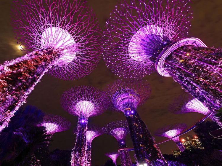 Tengah Berjibaku Lawan Corona, Singapura di Kala Malam Tetap Mempesona