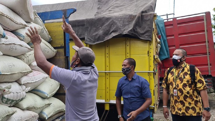 80 Ton Jagung Subsidi Jokowi untuk Peternak Blitar Langsung Habis dalam Hitungan Jam