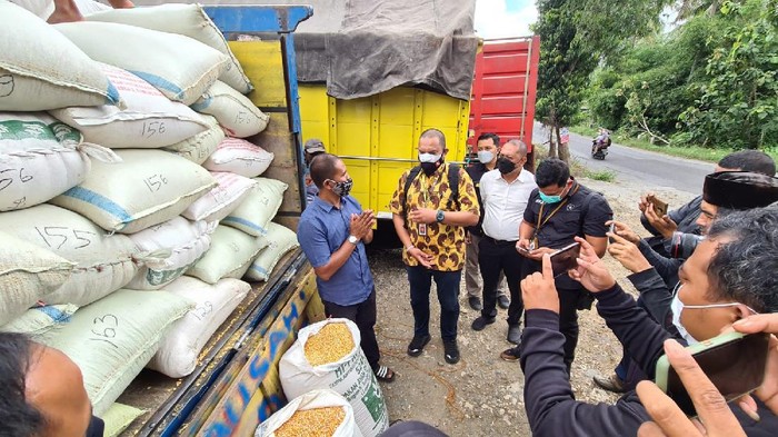 80 Ton Jagung Subsidi Jokowi untuk Peternak Blitar Langsung Habis dalam Hitungan Jam