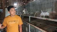 Genthur lalu mulai menekuni cara beternak kelinci melalui YouTube. Sekali panen kalau (kelinci) pedaging 50 ekor Rp 8 jutaan, kalau betina 50 ekor Rp 12 juta ke atas. Untuk waktu panen kalau betina 2 bulan dan jantan 3 bulan, ucapnya, Selasa (21/9/2021). Foto: Pradito Rida Pertana/detikcom Genthur lalu mulai menekuni cara beternak kelinci melalui YouTube. Sekali panen kalau (kelinci) pedaging 50 ekor Rp 8 jutaan, kalau betina 50 ekor Rp 12 juta ke atas. Untuk waktu panen kalau betina 2 bulan dan jantan 3 bulan, ucapnya, Selasa (21/9/2021). Foto: Pradito Rida Pertana/detikcom