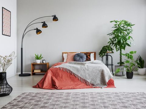 Urban jungle in bedroom with double bed, lamp and carpet, real photo with copy space on the wall