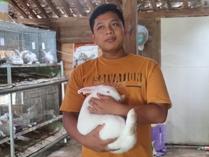 Akibat Sekolah Daring, Anak SMP Ini Ternak Kelinci Hasilkan Jutaan Rupiah