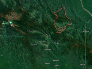 Aparat Gugur Lagi, Ini Rentetan Peristiwa Mencekam Akibat KKB di Kiwirok