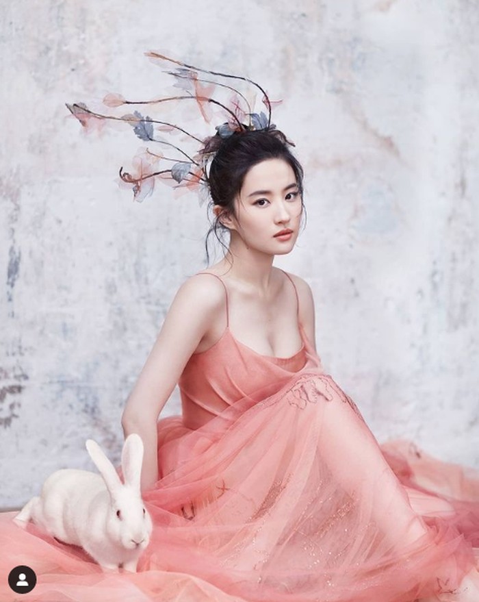 Liu Yifei Liu Yifei, bintang Mulan