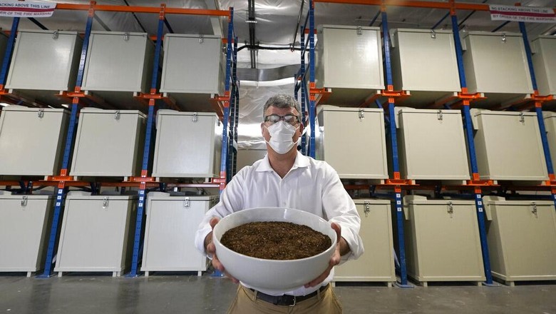 A container of compost produced from human remains is shown at Recompose, a company that composts human remains into soil, Wednesday, Sept. 15, 2021, in Kent, Wash., south of Seattle. Earlier in September, Colorado became the second state after Washington to allow human body composting, and Oregon will allow the practice beginning next July. (AP Photo/Ted S. Warren)