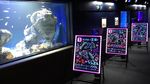 Foto: Pameran Unik, Lihat Ikan dkk Kawin
