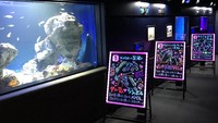 Akuarium ini berada di Sunshine City di distrik Ikebukuro Tokyo yang terkenal dengan banyak kesenangan berbelanja, kuliner, dan atraksi. Traveler yang ke sini dapat menghabiskan sepanjang hari di mega kompleks yang luas ini.