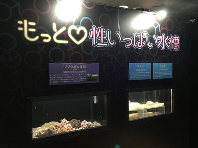 Foto: Pameran Unik, Lihat Ikan dkk Kawin