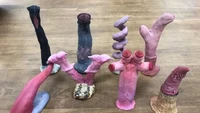 Salah satu tambahan baru untuk tahun ini adalah ruang intip. Fitur baru lainnya dari pameran ini adalah kumpulan delapan model anatomi organ seks makhluk laut yang dipahat oleh staf akuarium bersama dengan penjelasan tentang mengapa mereka memiliki karakteristik khusus tersebut.
