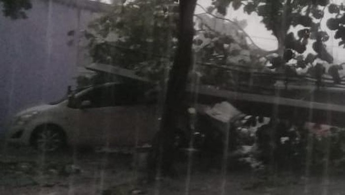 Pohon tumbang di Jl Margonda, Depok timpa mobil, Selasa (21/9/2021).
