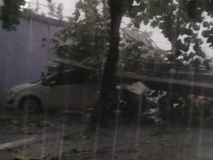 Pohon Tumbang di Jalan Margonda Depok Timpa Mobil hingga Ringsek