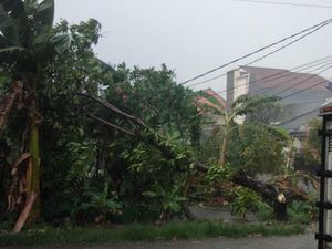 Analisis BMKG soal Puting Beliung-Hujan Es di Depok