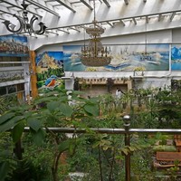 Di dalam rumah, terdapat semacam taman besar yang penuh tumbuhan tropis dengan langit-langit kaca yang dihiasi berbagai lampu kristal gantung. Bagian tengahnya diisi sofa dan meja untuk bersantai. Berbagai lukisan berukuran besar yang didominasi gambar pemandangan dan kuda-kuda yang menghiasi hampir di setiap sudut rumah semakin mempertegas kemewahan rumah tersebut. (Foto: AFP/WAKIL KOHSAR)