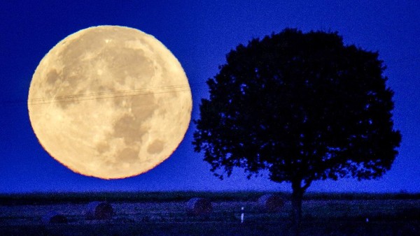 Bentuk sempurna dari bulan purnama tersebut menghasilkan keindahan yang mempesona.