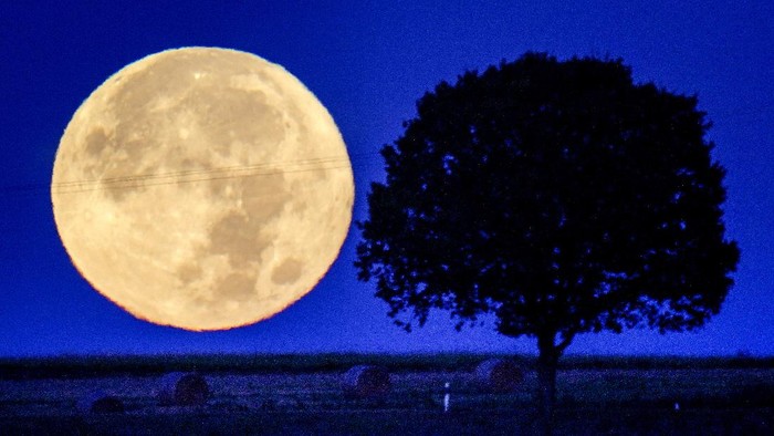 Terpesona Keindahan Bulan Purnama di Langit Jerman Lansekap bulan purnama terbenam terlihat menghiasi kawasan Taunus, Wehrheim, Jerman, saat dini hari. Penasaran?
