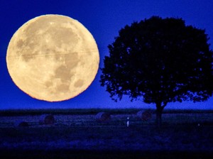 Besok Ada Fenomena Bulan Purnama Stroberi, Ini Jadwalnya
