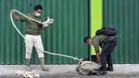 Lini depan berfungsi sebagai penarik, bagian belakang berperan sebagai pendorong sekaligus penahan, sementara bagian samping kanan dan kiri berfungsi sebagai pengarah. Kempat lini tersebut dilengkapi dengan tim tembak dan tim medis untuk mengantisipasi kejadian darurat. Dalam prosesnya, kejelasan komando, kekompakan tim, dan ketersediaan alat (seperti tali dan kebutuhan medis) menjadi kunci berhasil tidaknya proses evakuasi dan translokasi.  