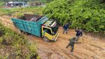 Tiki Taka Translokasi Gajah Sumatera
