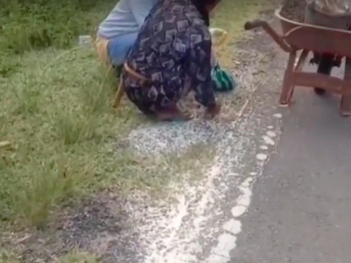 Video seorang kakek memunguti butiran beras berserakan di jalanan viral di medsos. Video itu menarik simpati dari banyak warganet hingga pemda turun tangan. (dok Istimewa)