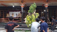 Mereka juga mengaku tidak memungut bayaran kepada mereka yang menonton. Foto: Ragil Ajiyanto/ detikcom