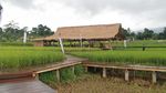 Foto: Desa Mulyaharja, Tempat Liburan Fotogenik di Bogor