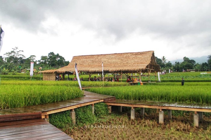 Agro Eduwisata Organik Desa Mulyaharja di Bogor