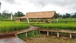 Foto: Desa Mulyaharja, Tempat Liburan Fotogenik di Bogor