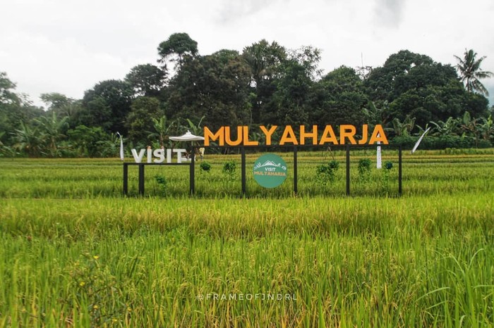 Agro Eduwisata Organik Desa Mulyaharja di Bogor