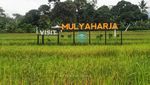Foto: Desa Mulyaharja, Tempat Liburan Fotogenik di Bogor