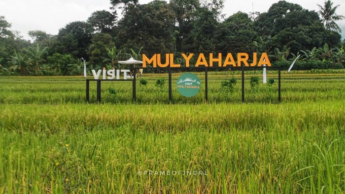 Agro Eduwisata Organik Desa Mulyaharja di Bogor