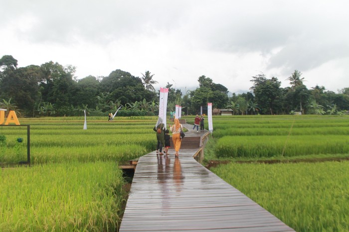 Agro Eduwisata Organik Desa Mulyaharja di Bogor