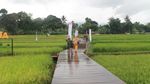 Foto: Desa Mulyaharja, Tempat Liburan Fotogenik di Bogor