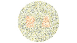 Ada beberapa orang yang sepanjang hidupnya mungkin tidak sadar dirinya buta warna. Tes berikut dirancang untuk menguji ketajaman mata kamu melihat warna.