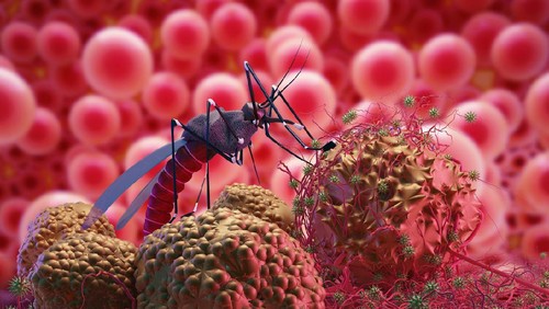 ilustrasi demam berdarah