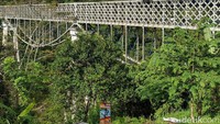 Panjang jembatan ini sekitar 202 meter  dengan ketinggian 66 meter di atas Sungai Citanduy. (Dadang Hermansyah/detikcom)