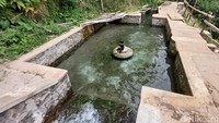 Objek wisata ini berada di kawasan Bandung Timur, tepatnya di Desa Drawati, Kecamatan Paseh.  (Wisma Putera/detikcom)