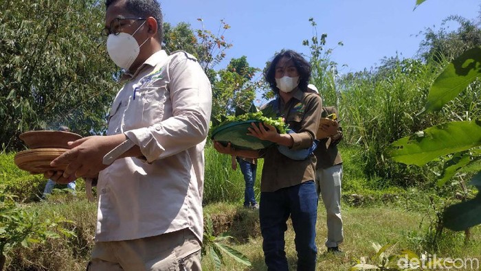 Melihat Tradisi Ruwatan Sungai di Karawang Forum Daerah Sungai (Fordas) Cilamaya Berbunga gelar tradisi ruwatan sungai di Bendungan Barugbug, Kecamatan Jatisari, Karawang. Begini prosesnya.