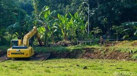 Satu unit alat berat dikerahkan untuk mengangkut gulma.