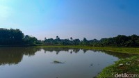 Pemkot Depok sendiri sudah mengingatkan warga untuk menjaga kebersihan lingkungan, termasuk di Situ Tujuh Muara. 