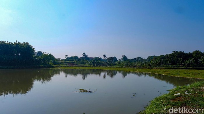 Penampakan Situ Tujuh Muara Depok yang Tertutup Gulma Situ Tujuh Muara bisa menjadi destinasi wisata alternatif di Kota Depok, Jawa Barat. Sayangnya, sebagian sisi danau tertutup gulma.