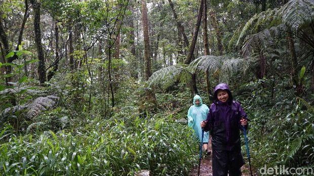 Pendakian Gunung Gede